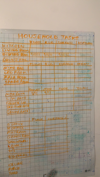 Can you please help me organise my life. I am so overwhelmed and ignoring everything. 