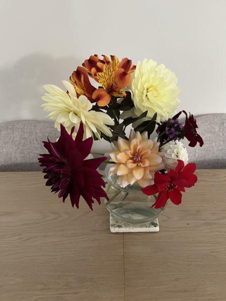 Who’s growing Dahlias this year