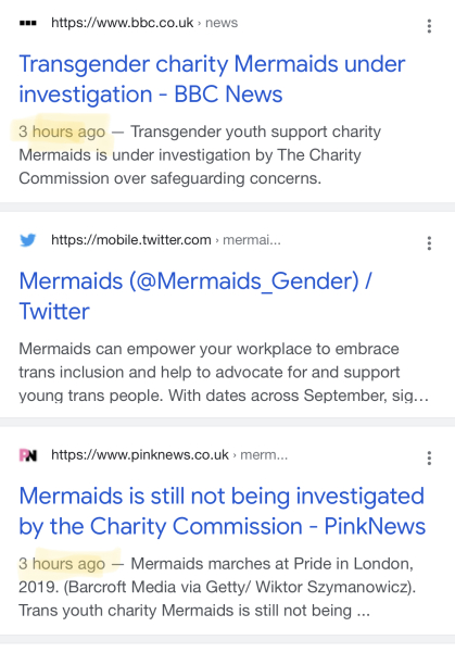 Mermaids being investigated by the charity commission
