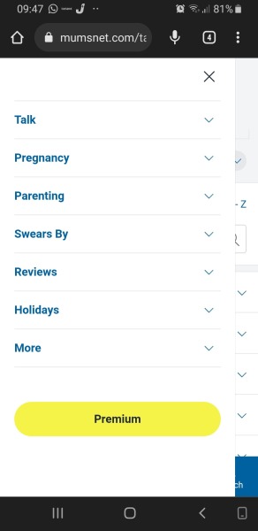 Guys, you really need to sort out your mobile view