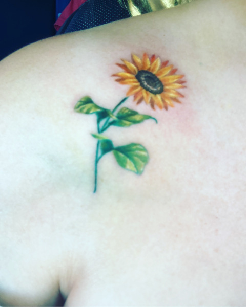 Adding to current tattoo next week