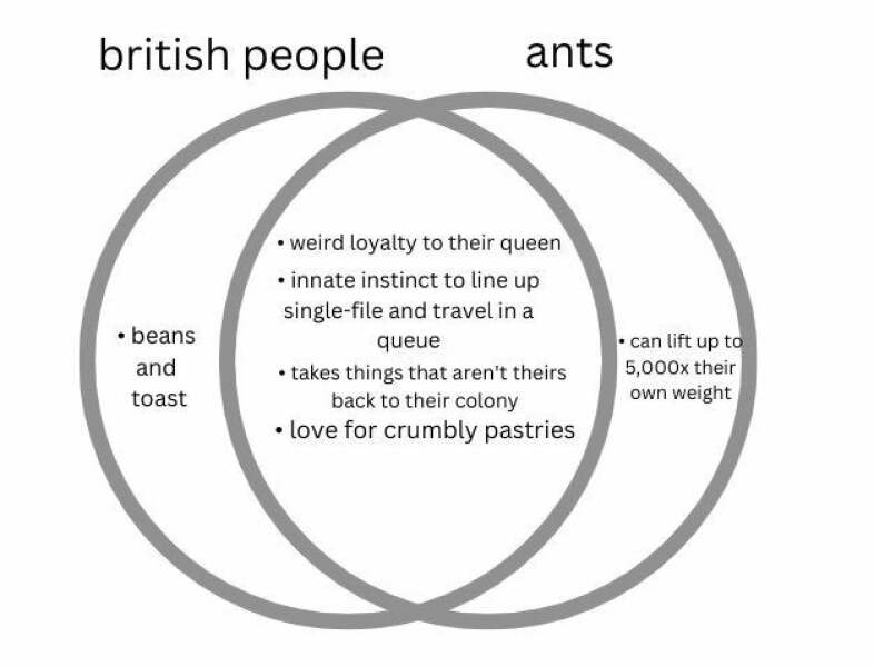 So proud  to be British right now