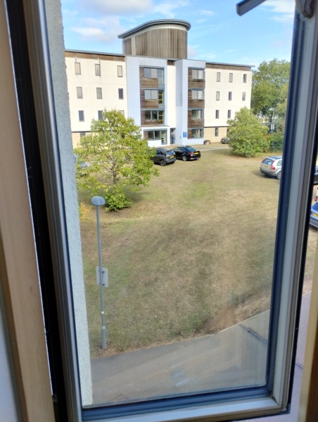 Thread 40 - Corona Cohort , Falling into Autumn 🍂 