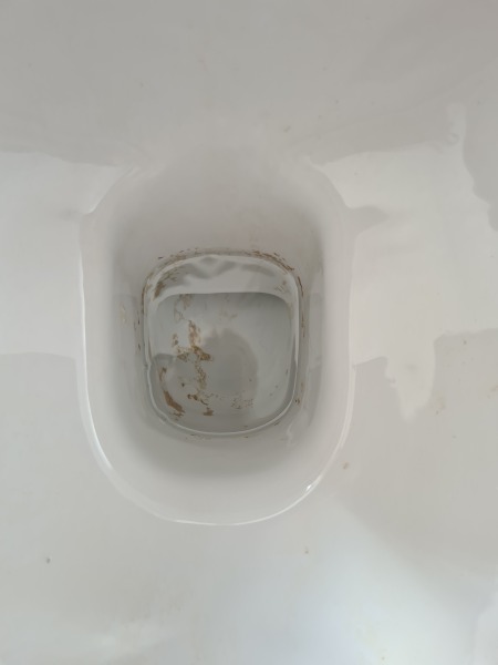 How to clean this toilet?