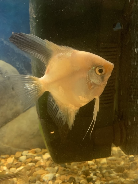 The “how much does this cost to run” thread?