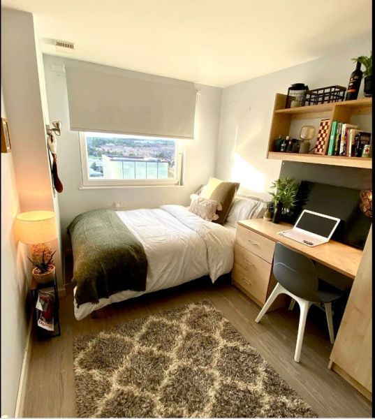 Thread 40 - Corona Cohort , Falling into Autumn 🍂 