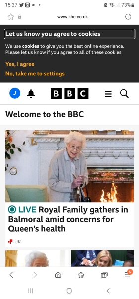 The Queen is under 'medical supervision'