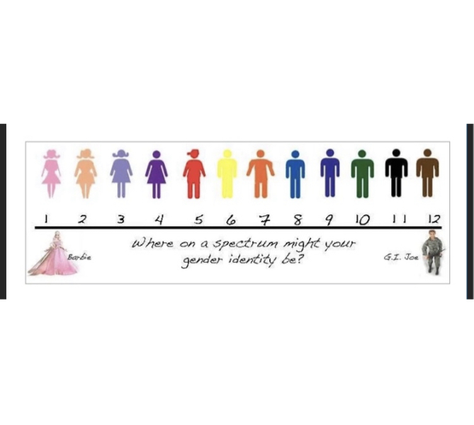 Mermaids vs LGB Alliance and Charity Commissioner - First-tier Tribunal (General Regulatory Chamber) Thread 3