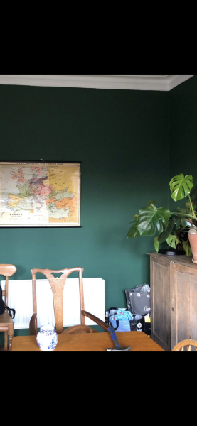 Can anyone find this paint colour? (Pic)