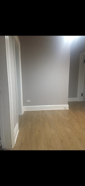 Help me find a rug