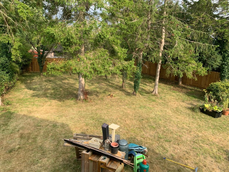 Anyone fancy designing my garden?!