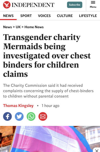 Mermaids being investigated by the charity commission