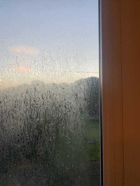 Countdown to Christmas 2022: it's s bit warm to be considering Christmas, but I'm doing it anyway! (Thread 3.)