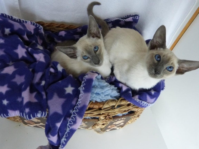 I need help with name choice!
