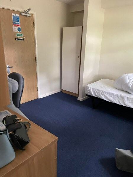 Thread 40 - Corona Cohort , Falling into Autumn 🍂 