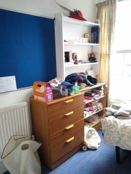 Thread 41 Corona Cohort -  Autumn Adventures of our Adult Children 