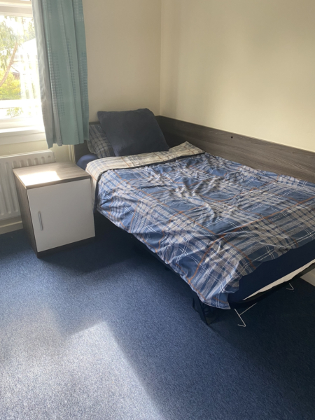 Thread 40 - Corona Cohort , Falling into Autumn 🍂 