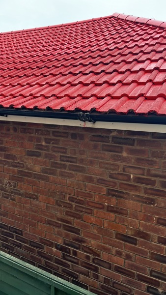De-mossing on roof. Anyone had it done? Is it worth it?