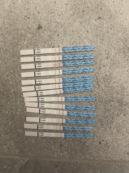 Are my OPK tests normal?? 2ww 