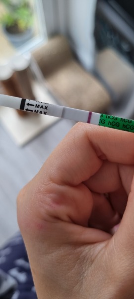 Caroline Lucas: “Local democracy felt revolutionised and re-energised” - why we need to permanently reinstate hybrid council meetings.