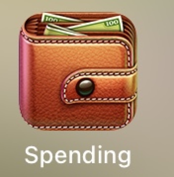 Spending tracker /budget app for cash and bank