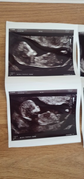 April 2023 Due Date Crew