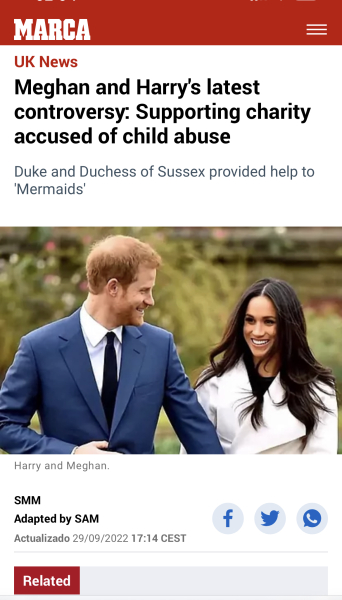 Mermaids being investigated by the charity commission