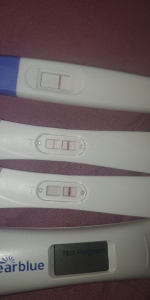HELP! Am I pregnant??