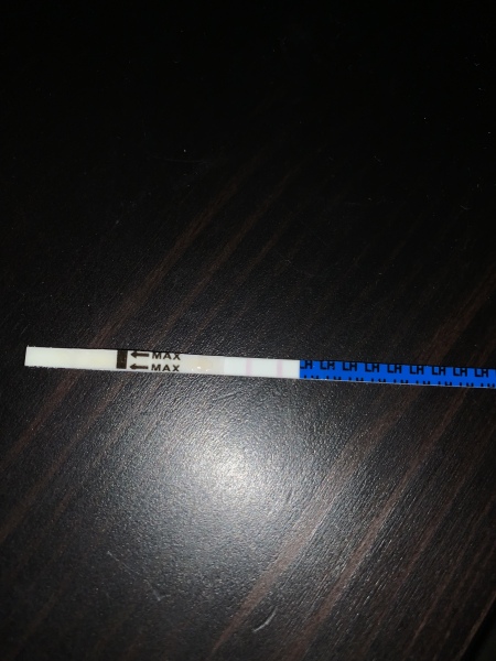 OPK positive yesterday, negative today...HELP!