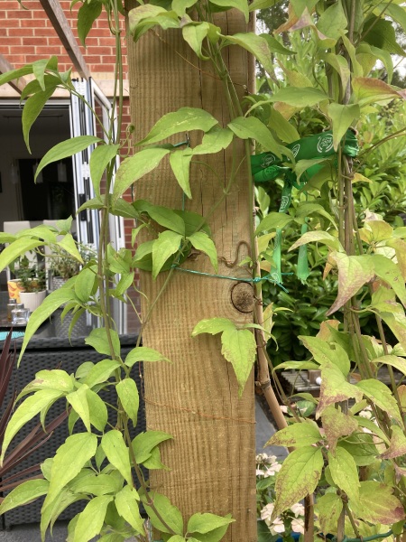Please Identify climber?