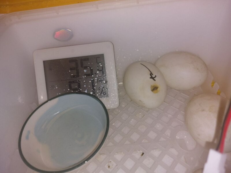 Ukraine Invasion: Part 31