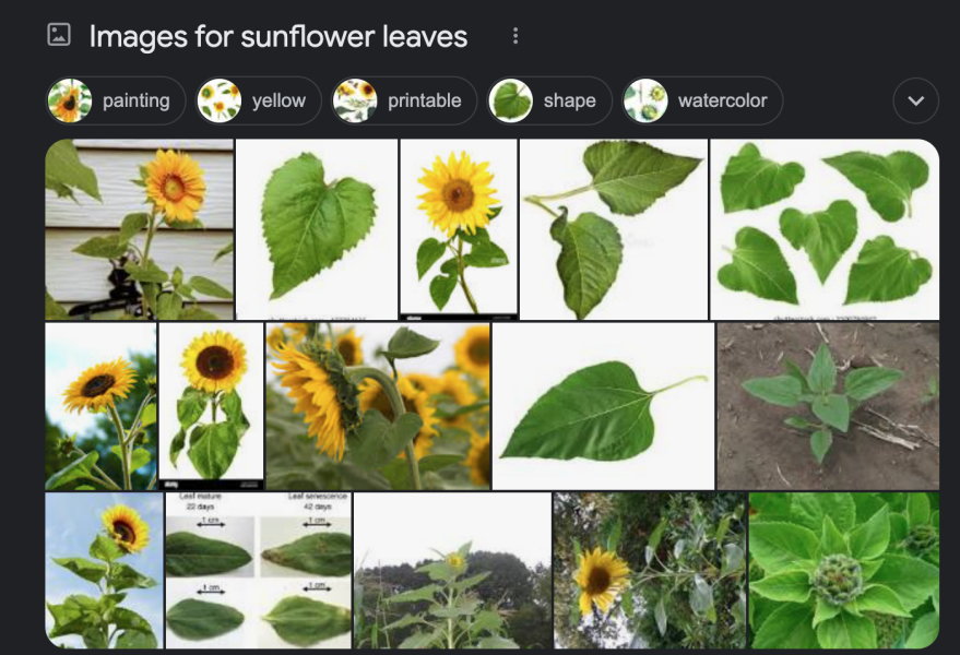 Could this be a sunflower?