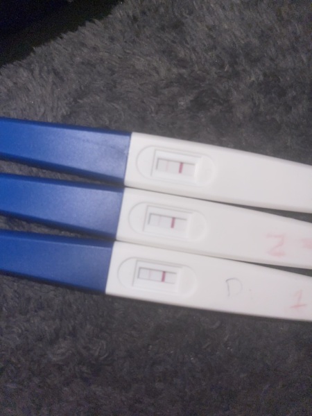 Pregnancy