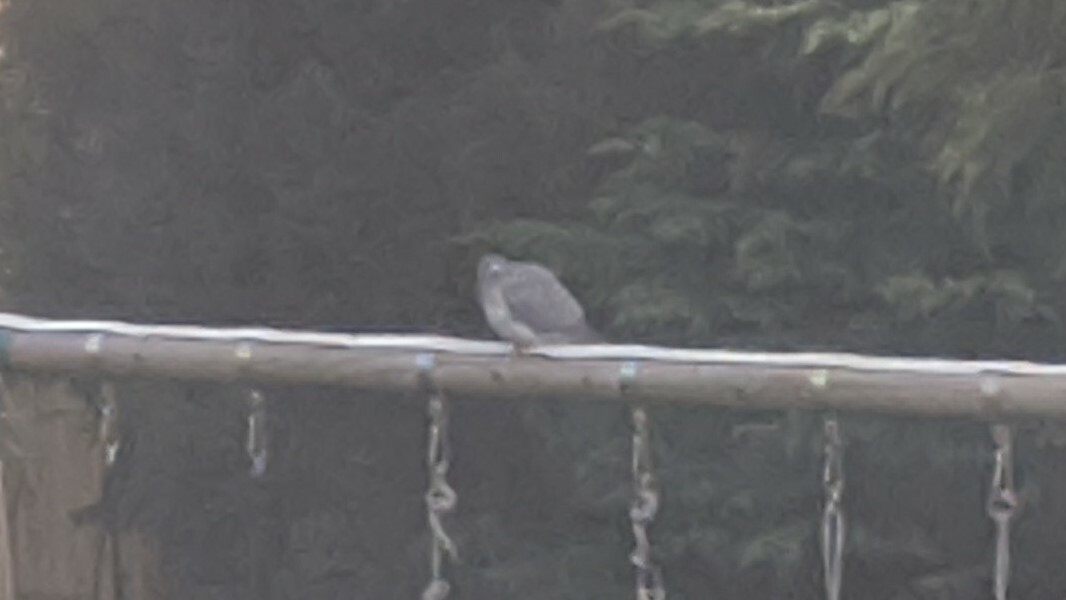 Another neighbour one...