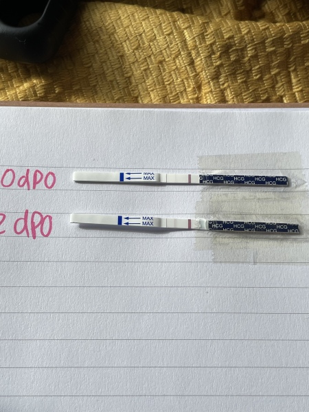 HCG test strip progress