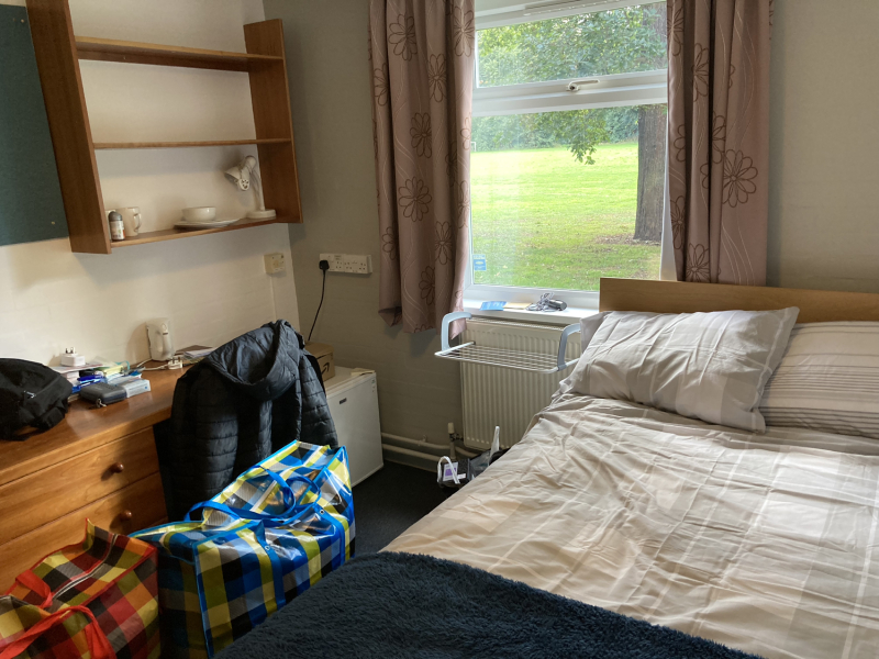 Thread 40 - Corona Cohort , Falling into Autumn 🍂 