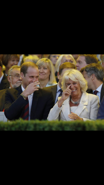 Thread a naoi: heading toward year three