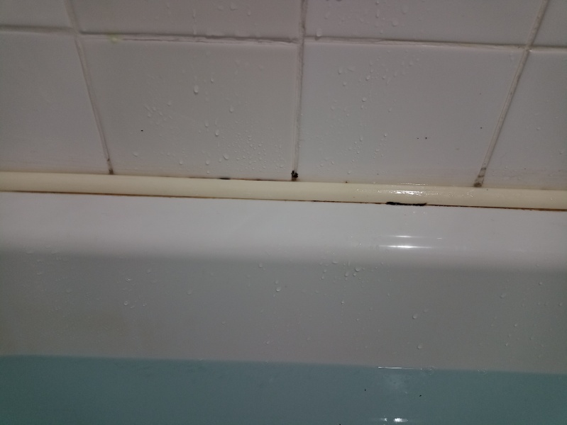 Leak from ceiling 