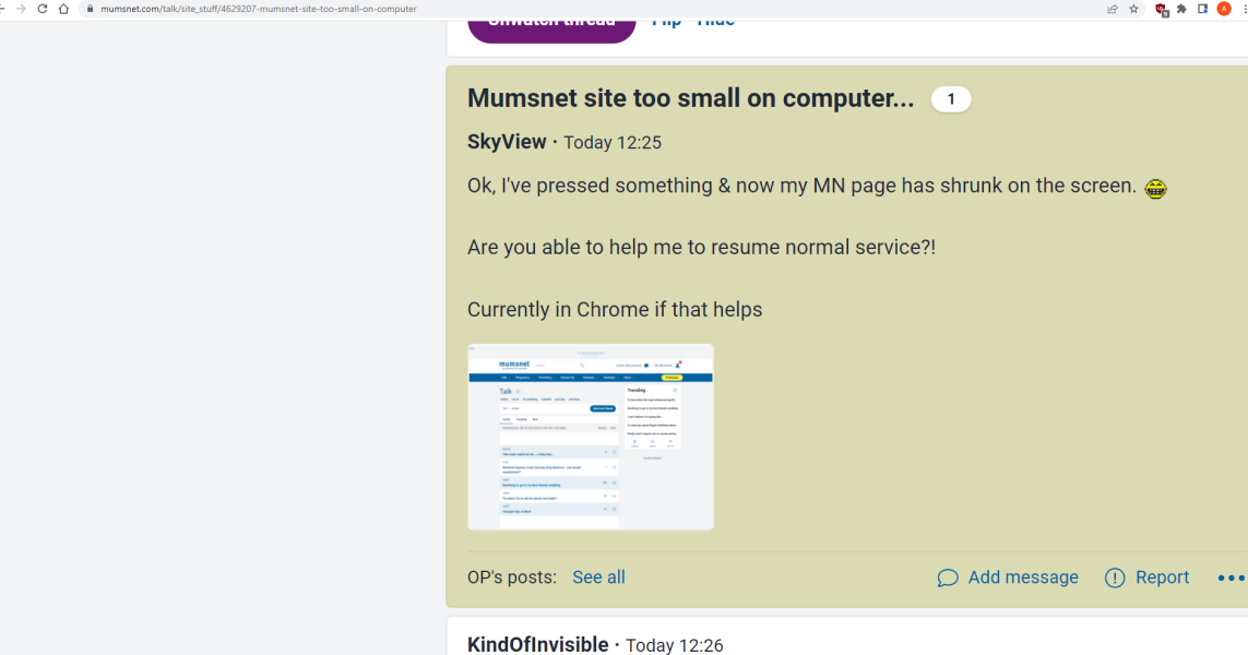 Mumsnet site too small on computer...
