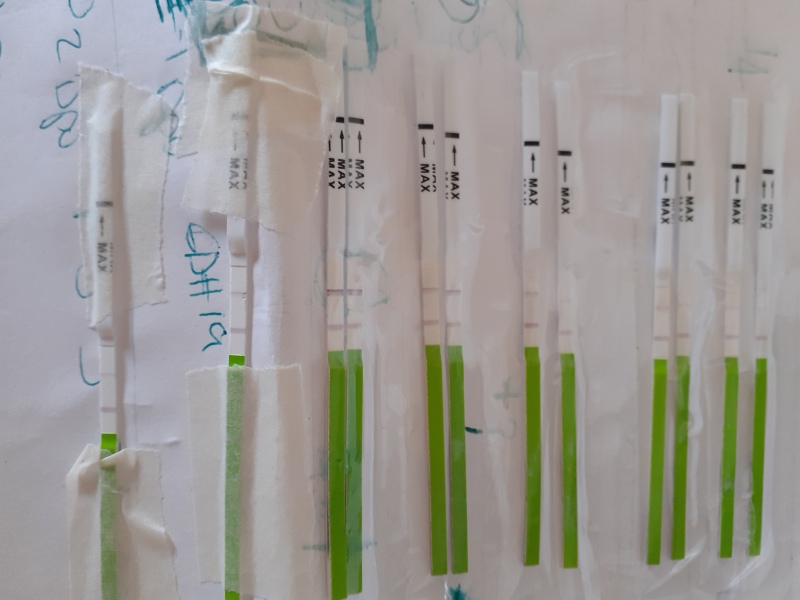 2ww & breast feeding trying to conceive again