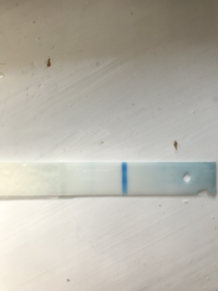 Sainsburys Pregnancy Tests - Reliable? 2022