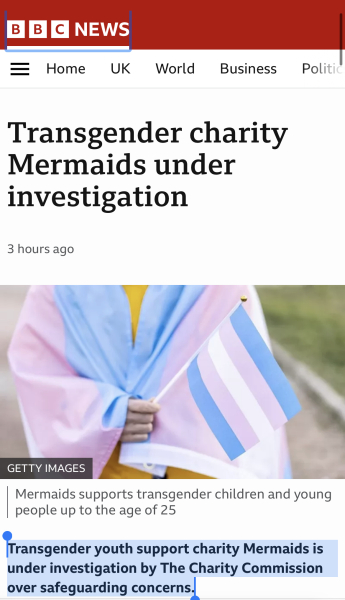 Mermaids being investigated by the charity commission