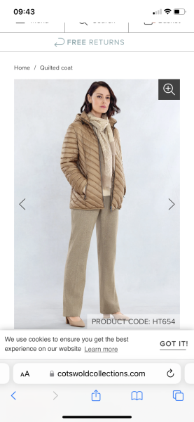 Properly warm but stylish parka/puffer