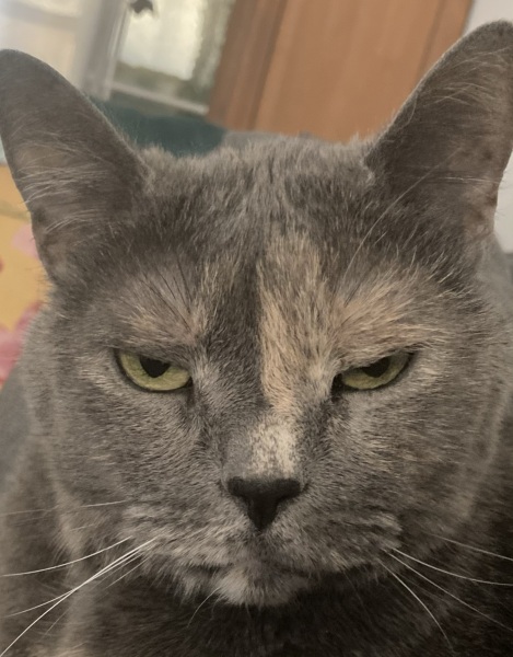 Swagger Inn 172.  While we're waiting for the summer to kick in, we'll be dreaming of beaches with the HBFs...