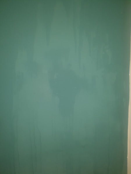 Damp in a rented flat