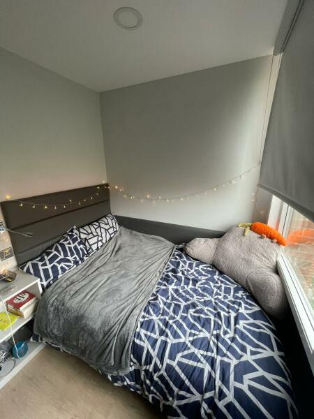 Thread 41 Corona Cohort -  Autumn Adventures of our Adult Children 