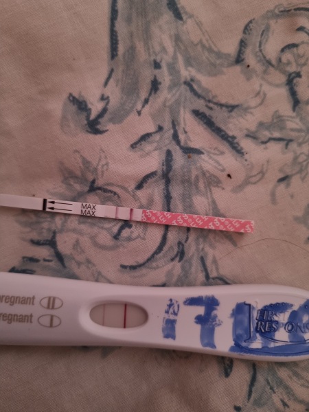 17 DPO! Bfp?