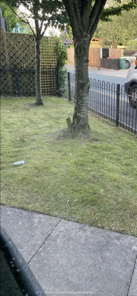 Will this grow back?