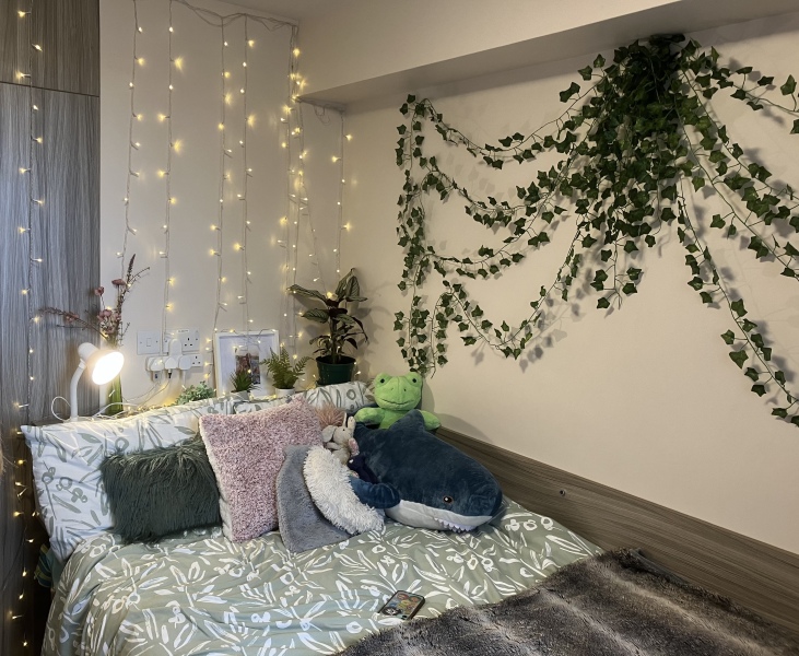 Thread 40 - Corona Cohort , Falling into Autumn 🍂 