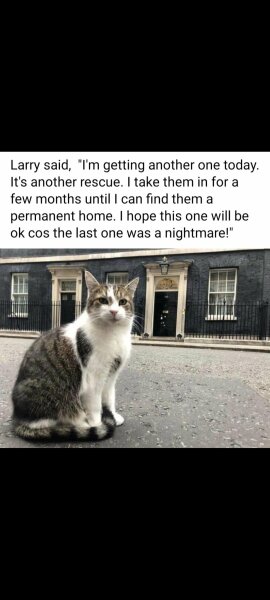 Brexit mega thread part 8: platinum jubilee edition 